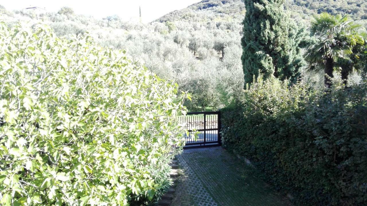 Апартаменти Terrazza Sugli Ulivi Рива-дель-Гарда Екстер'єр фото
